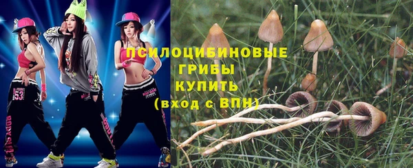 мескалин Лабытнанги