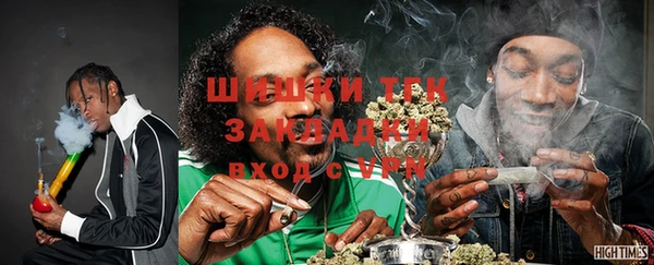 хмурый Ладушкин