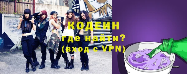 индика Кулебаки