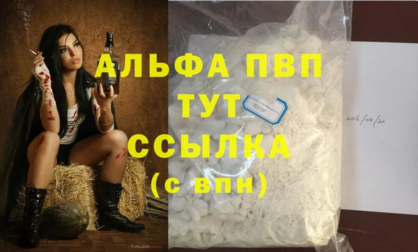 хмурый Ладушкин