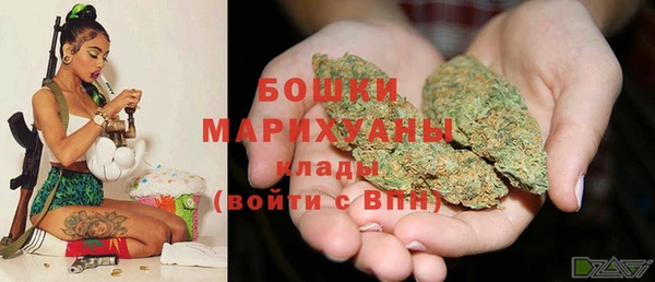 хмурый Ладушкин