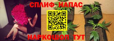 хмурый Кандалакша