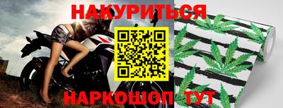 прущие крисы Камышлов