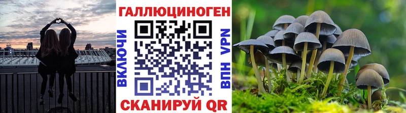 Галлюциногенные грибы GOLDEN TEACHER мега вход Лабинск купить закладку